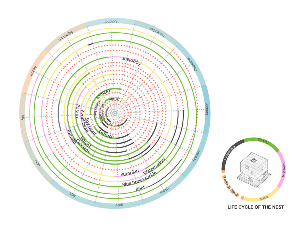 Nested Life Cycle Examples Nest We Grow – REGENERATIVEDESIGN.WORLD